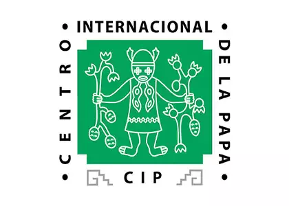 CIP