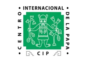 Cip